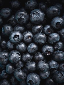 Preview wallpaper blueberries, fruit, berry, macro