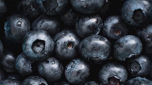 Preview wallpaper blueberries, fruit, berry, macro