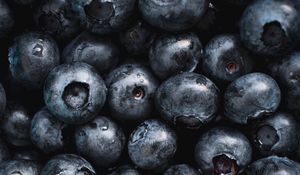 Preview wallpaper blueberries, fruit, berry, macro