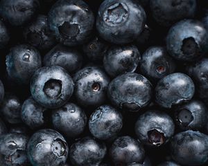 Preview wallpaper blueberries, fruit, berry, macro