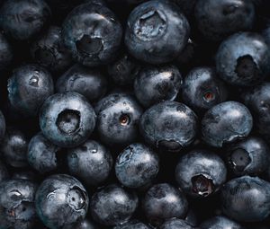 Preview wallpaper blueberries, fruit, berry, macro