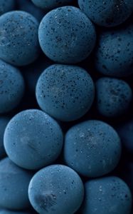 Preview wallpaper blueberries, grape, berries, macro, drops, blue