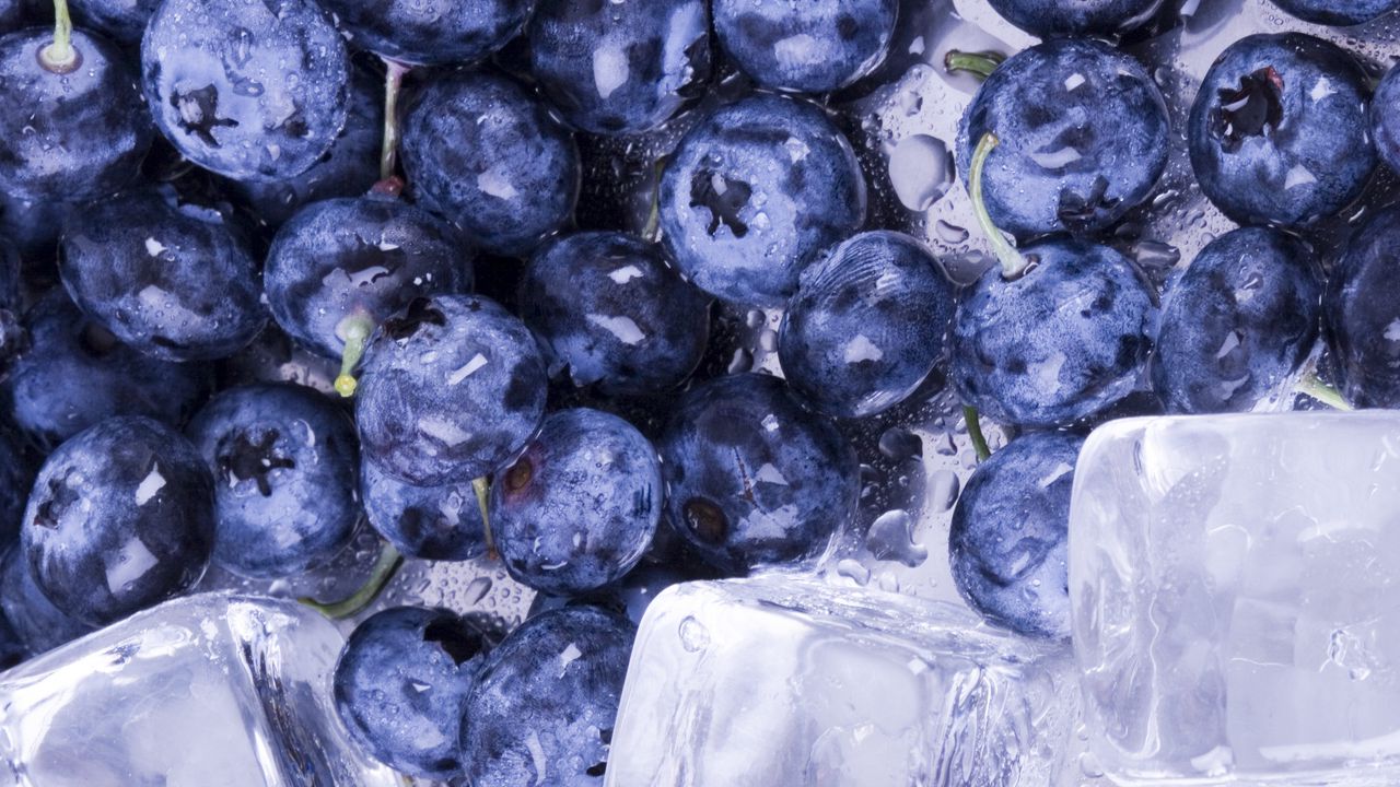 Wallpaper blueberries, ice, water, berries