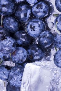 Preview wallpaper blueberries, ice, water, berries