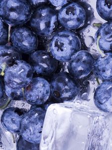 Preview wallpaper blueberries, ice, water, berries