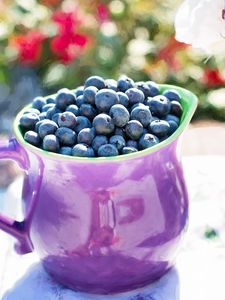 Preview wallpaper blueberries, pitcher, cup