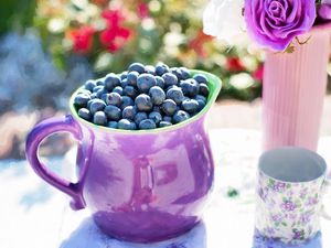 Preview wallpaper blueberries, pitcher, cup