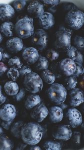 Preview wallpaper blueberries, plate, berry, ripe