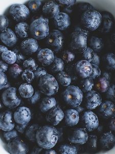 Preview wallpaper blueberries, plate, berry, ripe