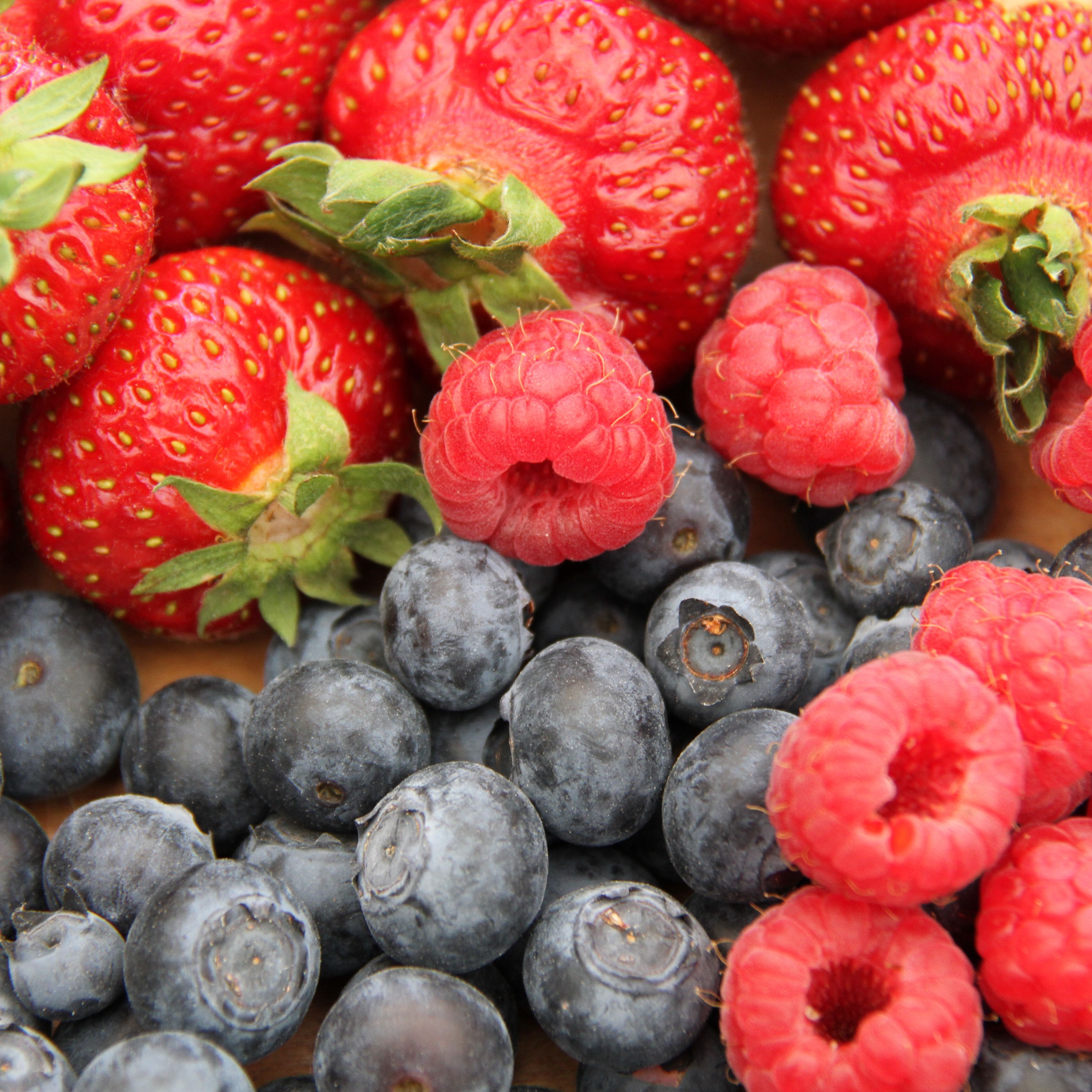 Download wallpaper 3415x3415 blueberries, raspberries, strawberries
