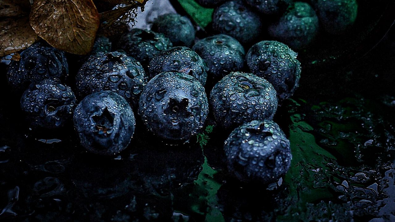 Wallpaper blueberry, berries, drops, water, leaves, macro