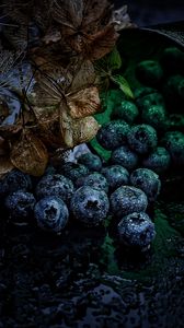 Preview wallpaper blueberry, berries, drops, water, leaves, macro