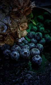 Preview wallpaper blueberry, berries, drops, water, leaves, macro