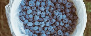 Preview wallpaper blueberry, berries, package