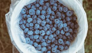 Preview wallpaper blueberry, berries, package