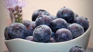 Preview wallpaper blueberry, berry, bowl, ripe