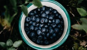 Preview wallpaper blueberry, berry, cup, leaves, grass