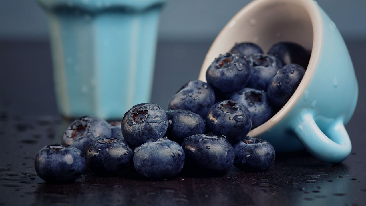 Wallpaper blueberry, berry, cup, fruit, wet