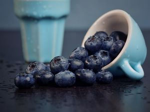 Preview wallpaper blueberry, berry, cup, fruit, wet