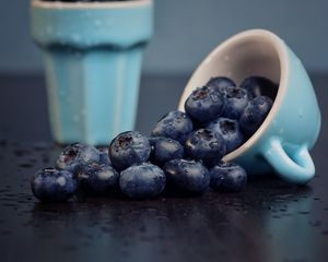 Preview wallpaper blueberry, berry, cup, fruit, wet