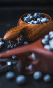 Preview wallpaper blueberry, berry, fruit, dishes