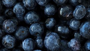Preview wallpaper blueberry, berry, fruit, macro, close