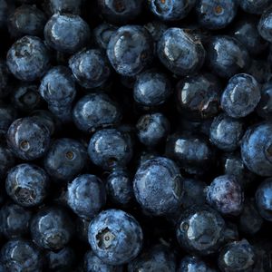 Preview wallpaper blueberry, berry, fruit, macro, close