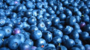 Preview wallpaper blueberry, berry, many