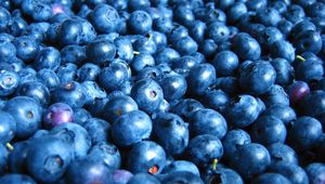 Preview wallpaper blueberry, berry, many