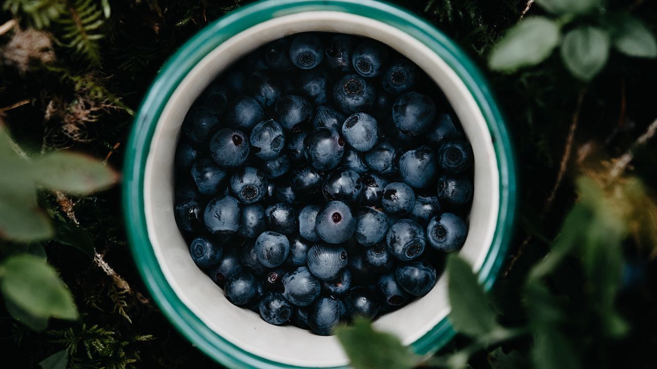 Wallpaper blueberry, berry, mug, grass, leaves