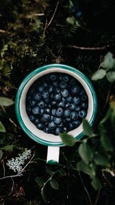 Preview wallpaper blueberry, berry, mug, grass, leaves