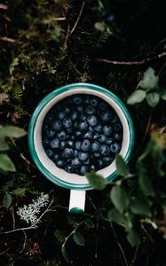 Preview wallpaper blueberry, berry, mug, grass, leaves