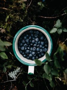 Preview wallpaper blueberry, berry, mug, grass, leaves