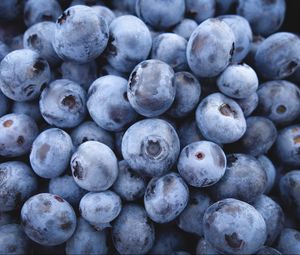 Preview wallpaper blueberry, berry, ripe