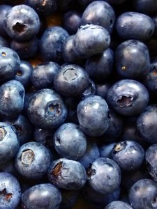 Preview wallpaper blueberry, berry, ripe, picking, harvest