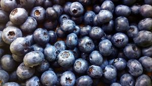 Preview wallpaper blueberry, berry, ripe, picking, harvest
