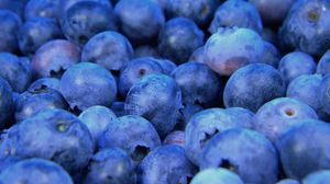 Preview wallpaper blueberry, berry, ripe, close-up
