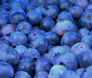 Preview wallpaper blueberry, berry, ripe, close-up
