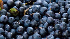 Preview wallpaper blueberry, berry, ripe, tasty