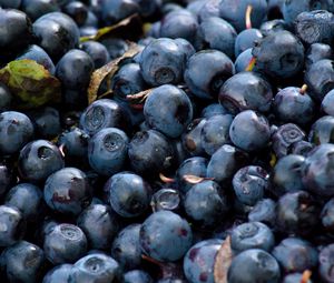 Preview wallpaper blueberry, berry, ripe, tasty