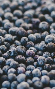 Preview wallpaper blueberry, berry, ripe, many