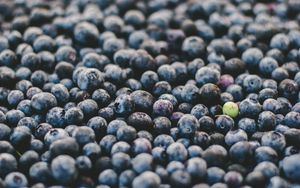 Preview wallpaper blueberry, berry, ripe, many