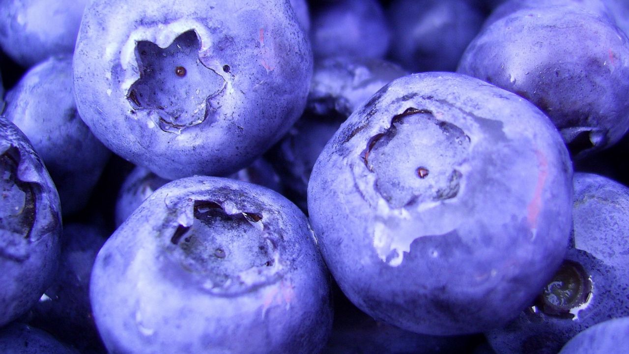 Wallpaper blueberry, berry, sweet
