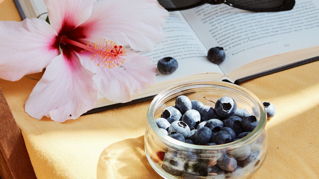 Wallpaper blueberry, flower, berry, book, glasses