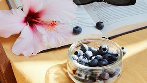 Preview wallpaper blueberry, flower, berry, book, glasses