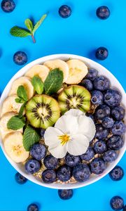 Preview wallpaper blueberry, kiwi, banana, mint, flower, fruit