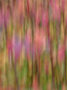 Preview wallpaper blur, ripple, abstraction, colorful