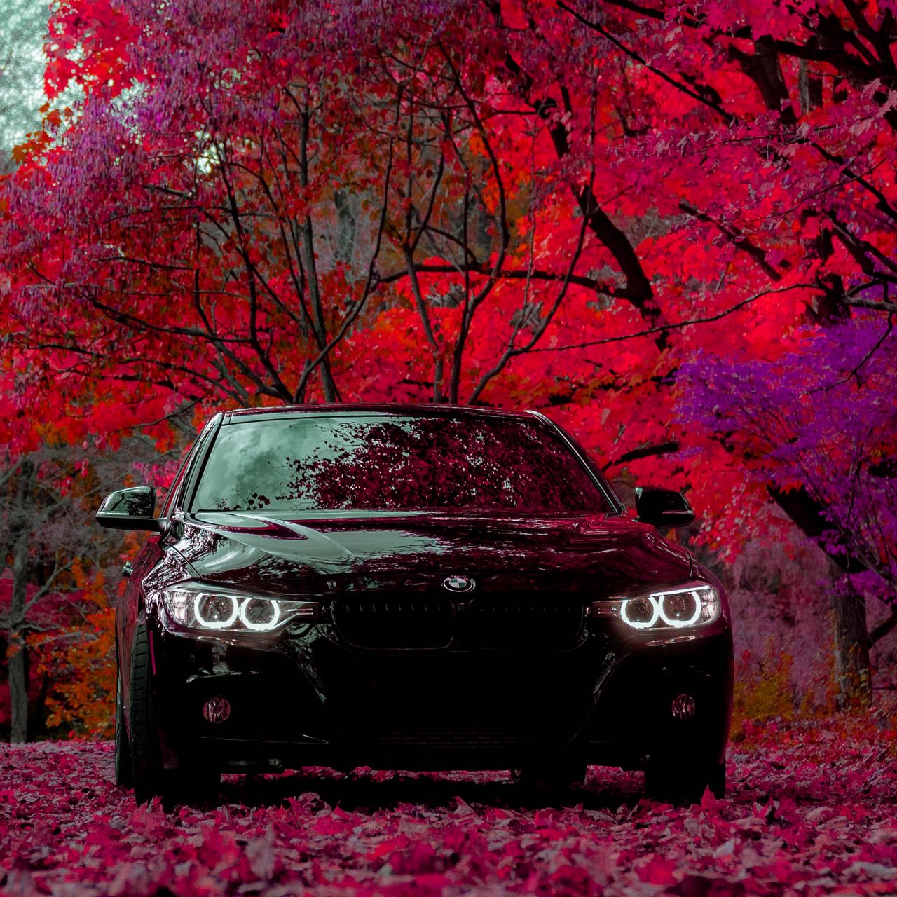HD wallpaper: BMW 335i F30 Car Tuning City