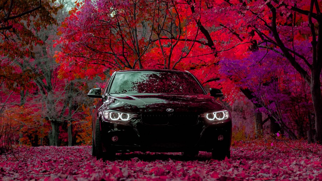 Wallpaper bmw f30 335i, bmw, car, black, front view, forest