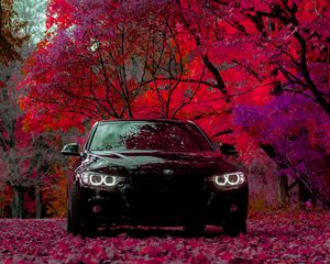 Preview wallpaper bmw f30 335i, bmw, car, black, front view, forest
